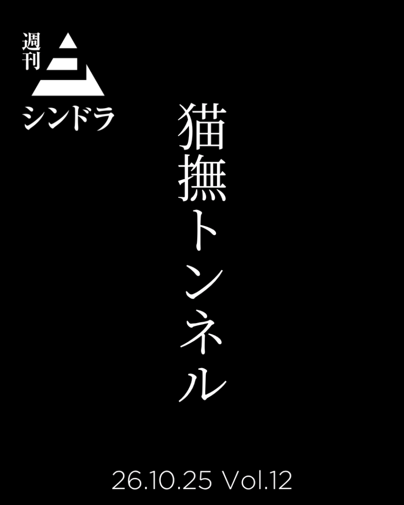 週刊シンドラ10月25日号 Vol.12 『猫撫トンネル』